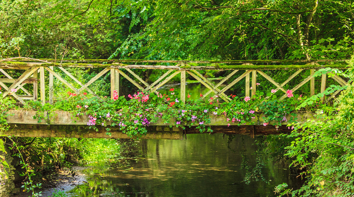 Pont suspendu fleuri à Bibury
